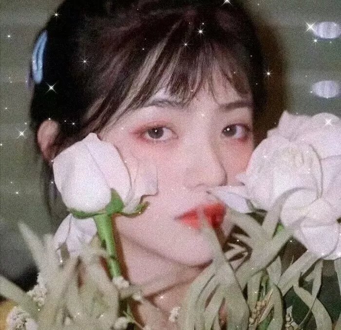 雁南飞
